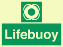 lifebuoy-with-symbol~